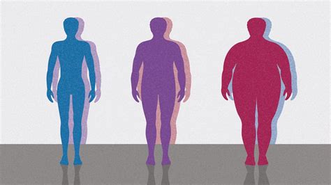 Body Mass Index (BMI) Numbers and Obesity Levels | Everyday Health