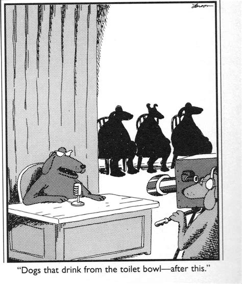 Far Side :) | Far side cartoons, Far side comics, Gary larson cartoons