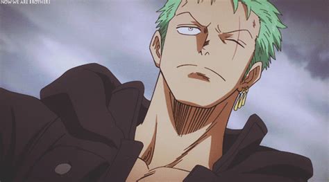 zoro | Tumblr | Zoro one piece, One piece gif, Roronoa zoro