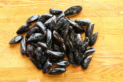 Mussels - Fresh Fish Online