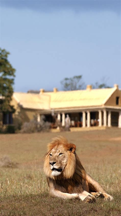 Gorah Elephant Camp, South Africa - book through i-escape.com | Luxury ...