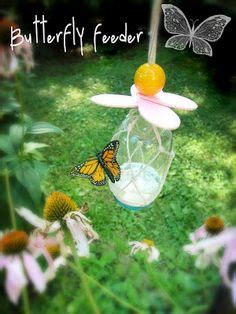 28 Monarch Caterpillar/Butterfly ideas | monarch caterpillar, monarch ...