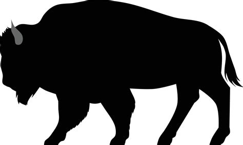 American Bison black silhouette, isolated on white 25385880 Vector Art ...