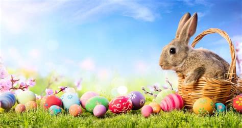 Easter Bunny Origin, History and It's Connection to Christianity ...