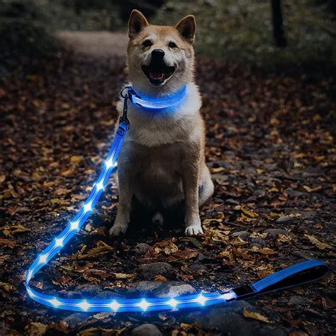 Amazon.com : Illumifun LED Dog Leash, USB Rechargeable Glowing LED Lead ...