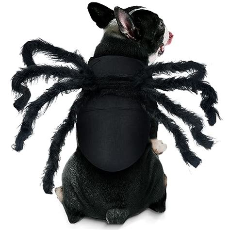 Unleash Your Dark Side: Top 10 Black Dog Costumes for Halloween 2021 ...