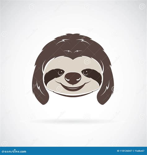 Vector of a Sloth Head on White Background. Wild Animals Stock Vector - Illustration of face ...