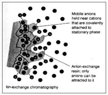 Ion Exchange Chromatography