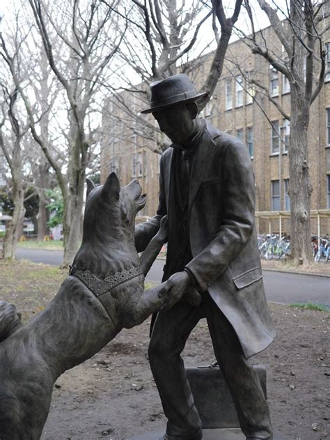 Hachiko’s new statue is now open to the public, and we’ve got pictures and video from our visit ...