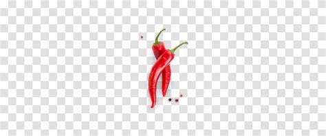 Best Chili Best Chili Images, Plant, Vegetable, Food, Pepper Transparent Png – Pngset.com