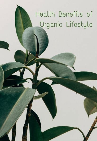 Health Benefits of Organic Lifestyle - Beauty and the Mist