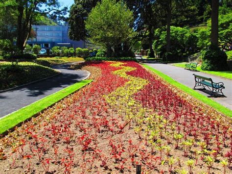 Wellington Botanic Garden in Wellington