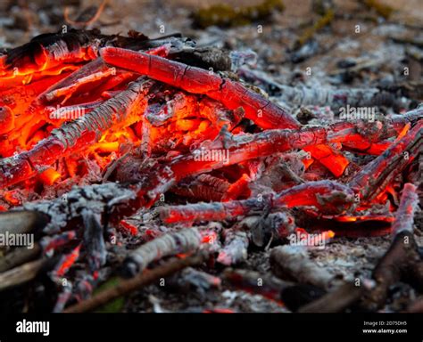 Fossil forge hi-res stock photography and images - Alamy