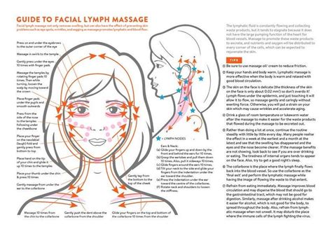 Facial Lymph Massage Direction Guide Poster PRINTABLE/ | Etsy Lymph Massage, Gua Sha Massage ...