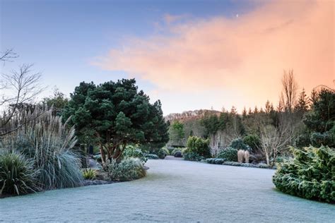 RHS Gardens Winter Events Programme December 2019 –February 2020 ...