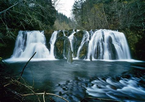 22 best images about Olympic Peninsula Waterfall Trails!!! on Pinterest | Park in, Washington ...