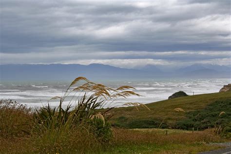 Hog - geoblog, New Zealand, travel, views and vistas