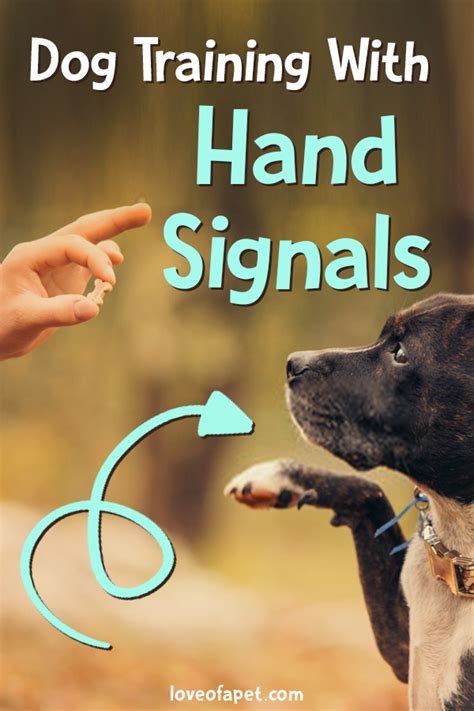 Dog Training With Hand Signals: What You Need to Know? - Love Of A Pet | Dog training, Training ...