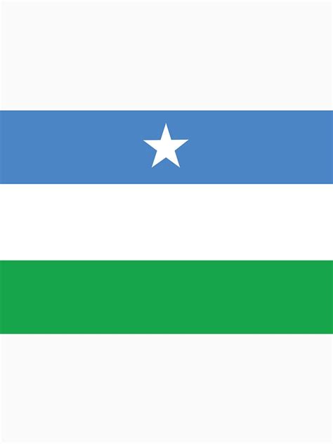 "Flag of Puntland" T-shirt by wickedcartoons | Redbubble