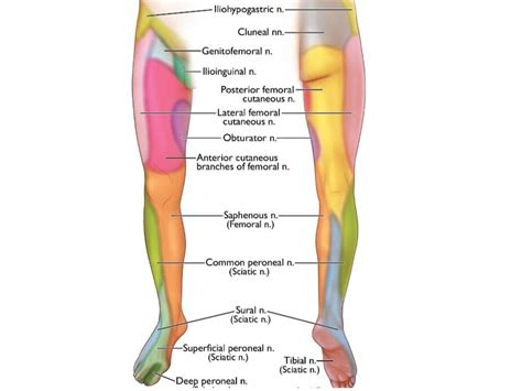 Limb Pain Specialist in Tampa, Florida — Acute Pain & Ketamine Clinic