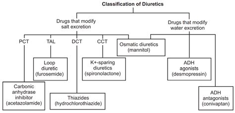 Diuretics (Pharmacology) - Solution Parmacy