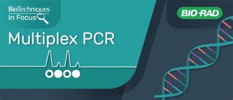 In Focus: Multiplex PCR - BioTechniques