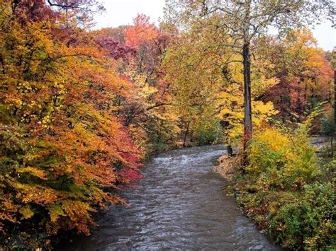 Fall Foliage Peak Map 2019: When Minnesota Autumn Leaves Are Best | Southwest Minneapolis, MN Patch