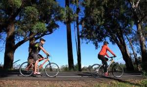 What Should I Wear On a Haleakala Bike Tour? - Maui Sunriders Bike Co.