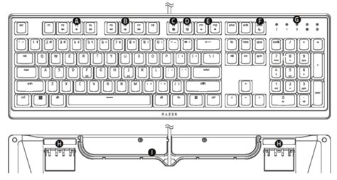 Razer Ornata V3 | RZ03-0446x Support & FAQs