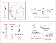 lec38.pdf - Terpenes α-terpinyl Cation Cyclopropane formation OH α ...