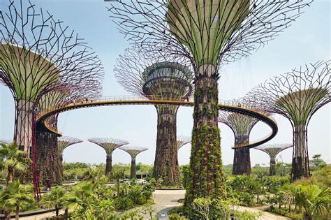 Gardens By The Bay And Supertrees Singapore City | Fasci Garden