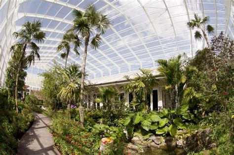 The Lisa D. Anness Butterfly Garden at the Fairchild Tropical Botanic ...