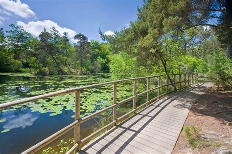 The Most Beautiful Nature Reserves in the UK - Scotland, Devon, Surrey