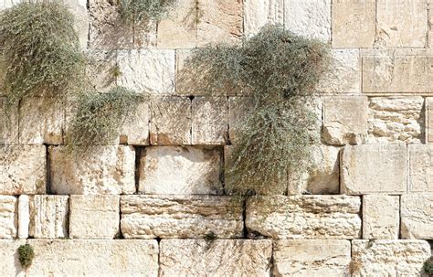 Free photo: Jerusalem, The Wailing Wall, Israel - Free Image on Pixabay - 1328645