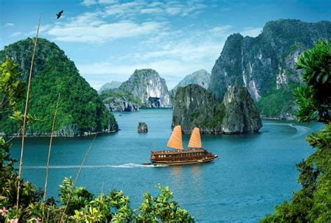 GO TOURS: Vịnh Hạ Long (Quảng Ninh)