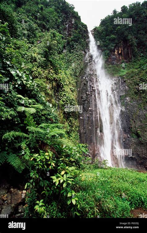 Carbet Falls, Guadeloupe National Park, Guadeloupe, Overseas Department of France Stock Photo ...