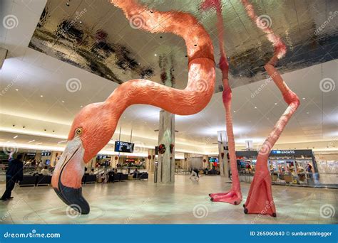 Tampa airport flamingo editorial image. Image of background - 265060640