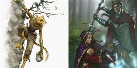 Dungeons And Dragons: 10 Best Races To Play That Aren't In The Player's ...