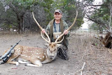 Axis Deer Hunts in the Texas Hill Country