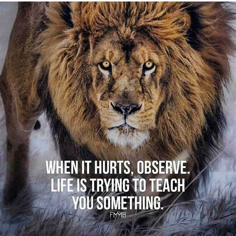 When It Hurts Observe. Life Is Trying To Teach You Something. . . For more follow @life ...