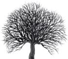 Black Art Tree PNG Clip Art | Gallery Yopriceville - High-Quality Free Images and Transparent ...