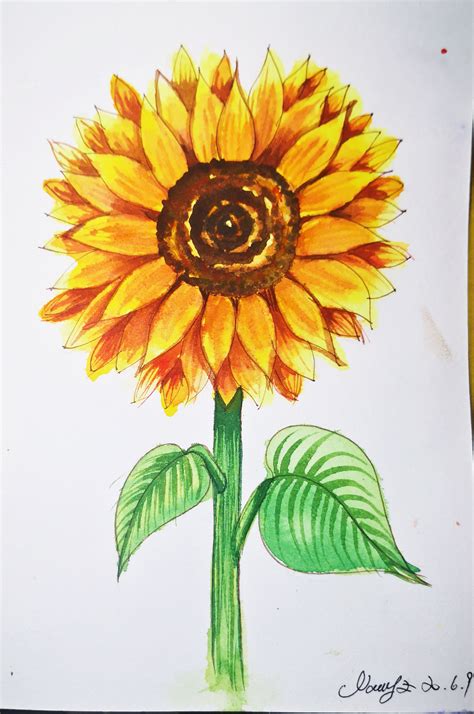 Super easy How to draw a sunflower with Watercolor and basic line ...