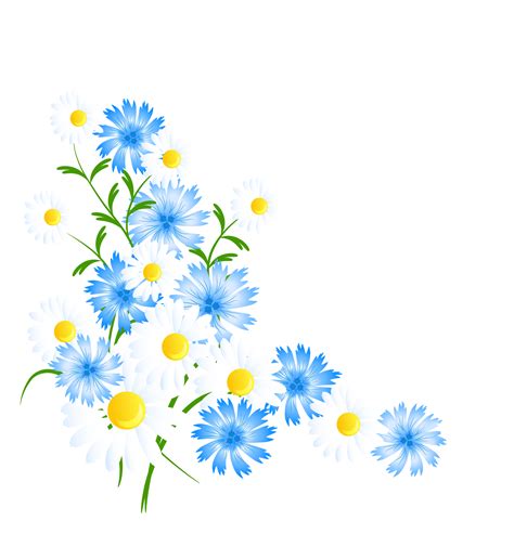 Daisy clipart long stem flower, Daisy long stem flower Transparent FREE for download on ...