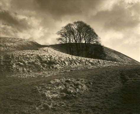 University of Warwick Art Collection - Clump In Hollow, Summerhouse ...