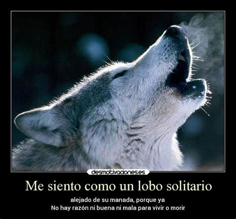 Lobo solitario tatuaje - Imagui