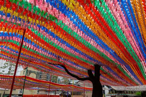 Jogyesa Temple - MX Chronicles