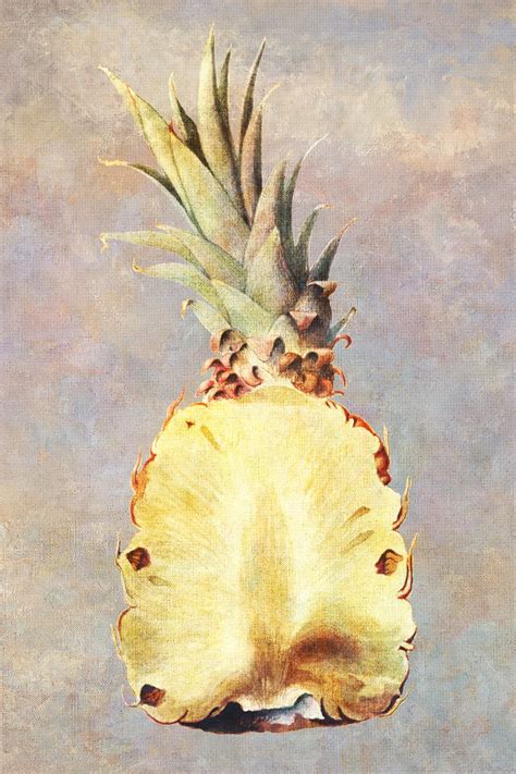 Pineapple Images | Free Food & Beverage Photography, HD Wallpapers, PNGs & Illustration Graphics ...