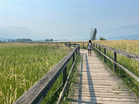 Guide to Travel Salmon Arm, British Columbia — Exploratory Glory Travel ...