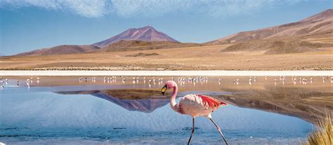 Exclusive Travel Tips for Your Destination Uyuni in Bolivia