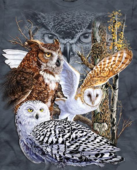 Owls Of The World Cross Stitch Pattern***LOOK*** - Crafts